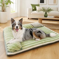 Cozy and Convenient Green Velvet Dog Bed for Your Pet