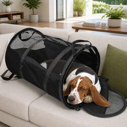 Lightweight Black Pet Carrier for Convenient Travel